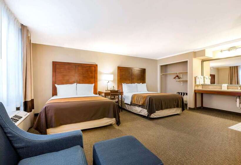 ホテル Comfort Inn Santa Monica  West Los Angeles