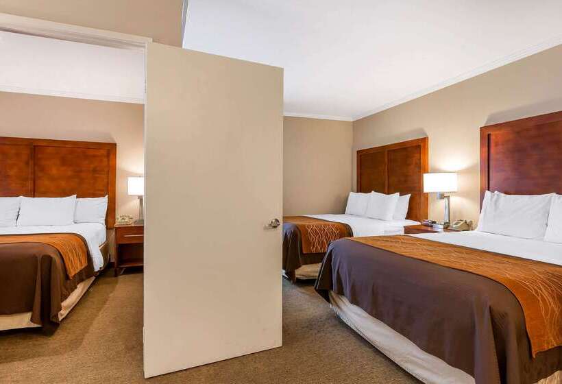 ホテル Comfort Inn Santa Monica  West Los Angeles