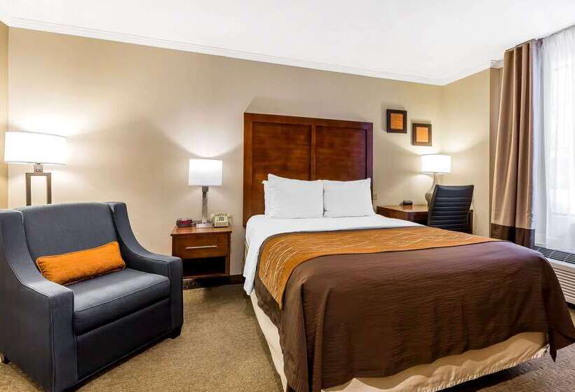 ホテル Comfort Inn Santa Monica  West Los Angeles