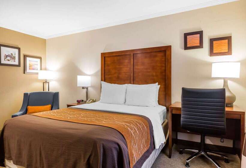 ホテル Comfort Inn Santa Monica  West Los Angeles