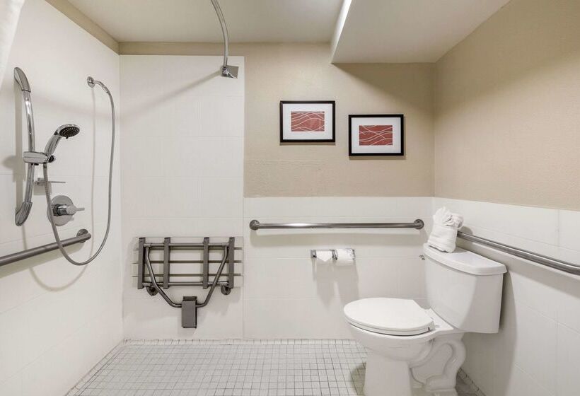 ホテル Comfort Inn Santa Monica  West Los Angeles