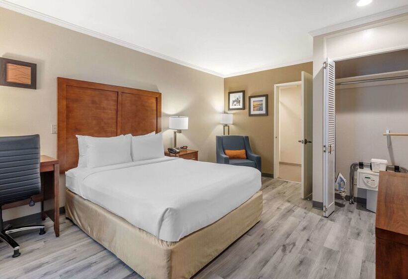 ホテル Comfort Inn Santa Monica  West Los Angeles