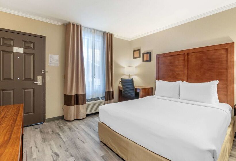 ホテル Comfort Inn Santa Monica  West Los Angeles