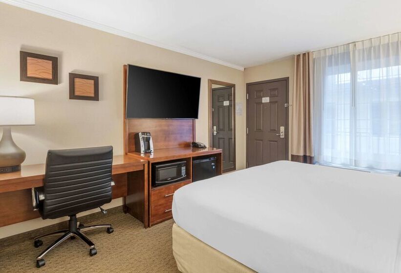 ホテル Comfort Inn Santa Monica  West Los Angeles