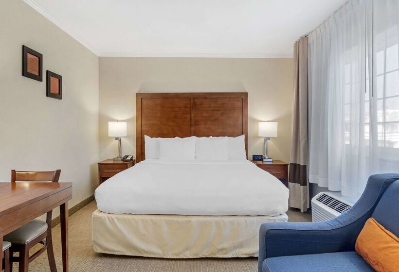 ホテル Comfort Inn Santa Monica  West Los Angeles