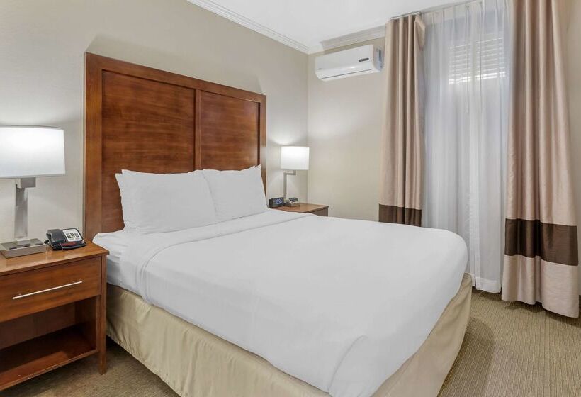 ホテル Comfort Inn Santa Monica  West Los Angeles