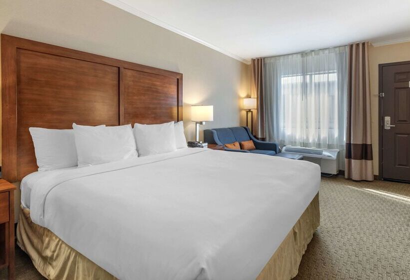 ホテル Comfort Inn Santa Monica  West Los Angeles