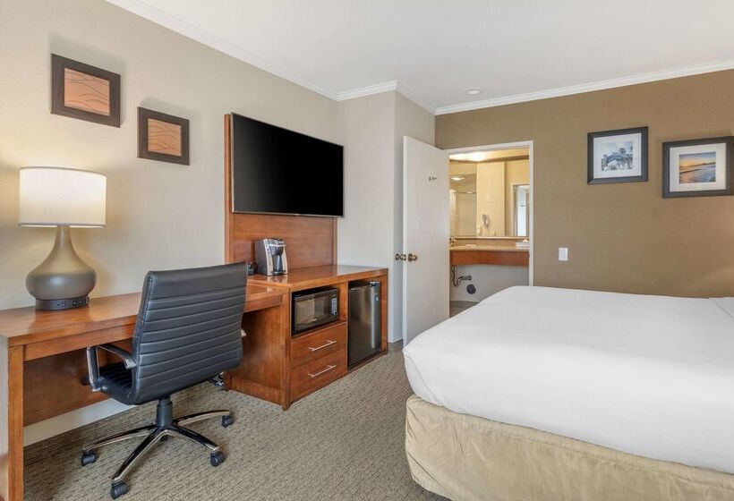 ホテル Comfort Inn Santa Monica  West Los Angeles