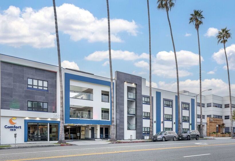 ホテル Comfort Inn Santa Monica  West Los Angeles