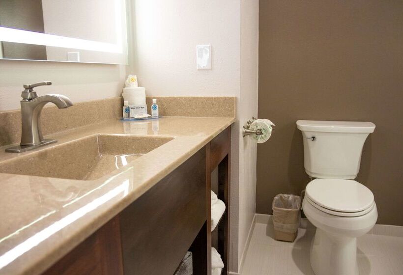 호텔 Comfort Inn Sioux City South