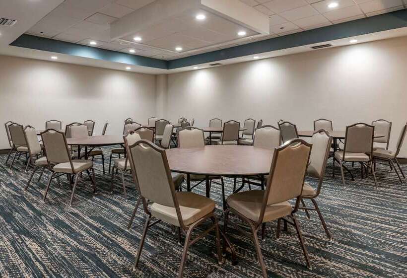 فندق Comfort Inn & Suites Downtown Brickell Port Of Miami