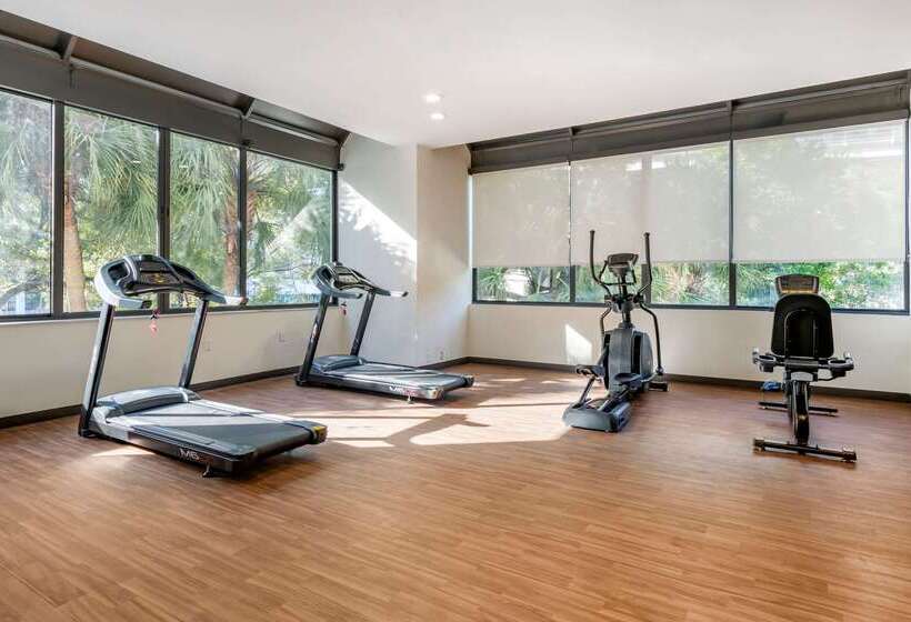 فندق Comfort Inn & Suites Downtown Brickell Port Of Miami