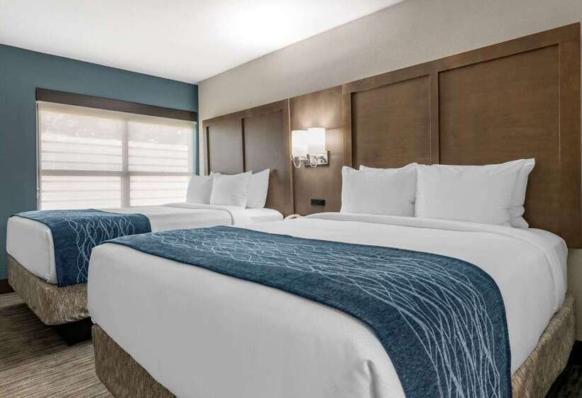 هتل Comfort Inn & Suites Downtown Brickell Port Of Miami