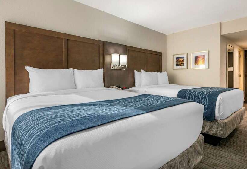 فندق Comfort Inn & Suites Downtown Brickell Port Of Miami