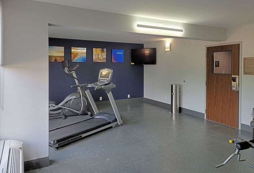 فندق Comfort Inn & Suites Wyomissing Reading