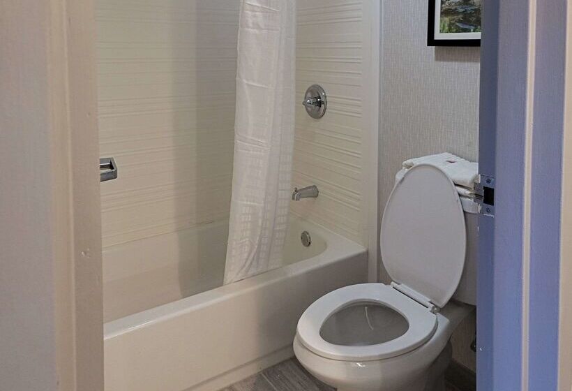 فندق Comfort Inn & Suites Wyomissing Reading