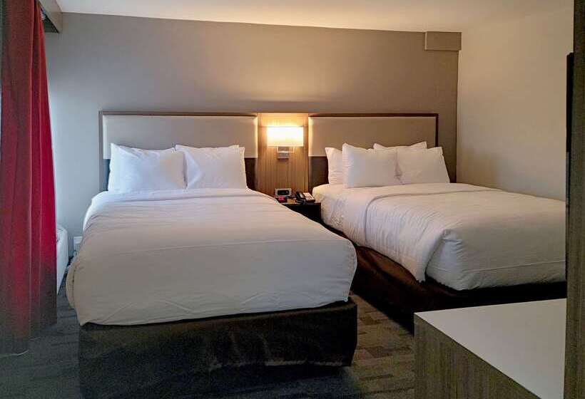 فندق Comfort Inn & Suites Wyomissing Reading
