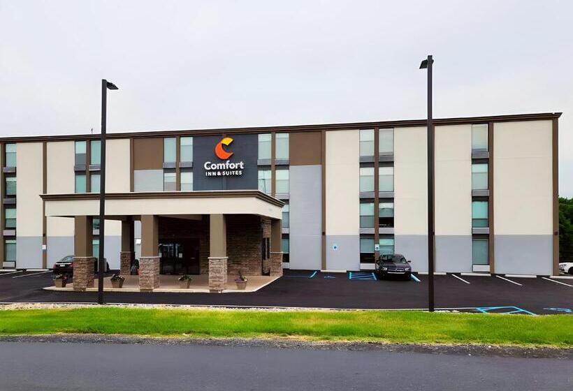 فندق Comfort Inn & Suites Wyomissing Reading