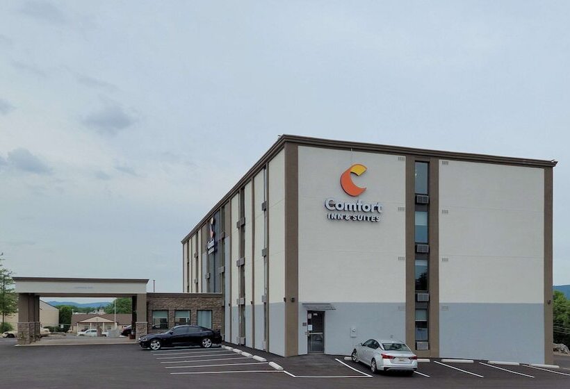 فندق Comfort Inn & Suites Wyomissing Reading
