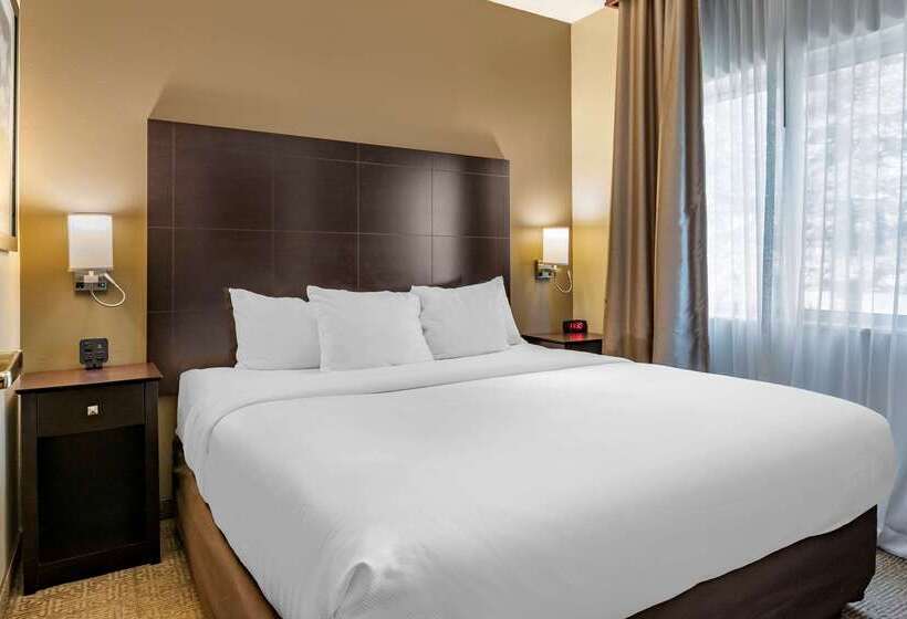 فندق Comfort Inn & Suites