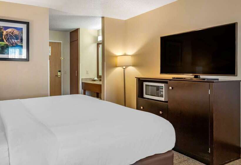 فندق Comfort Inn & Suites