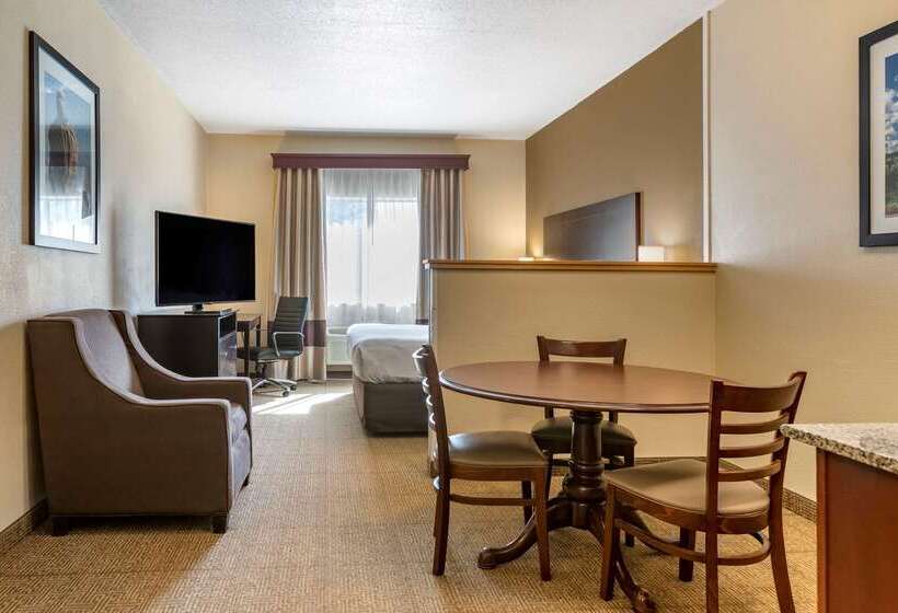 فندق Comfort Inn & Suites