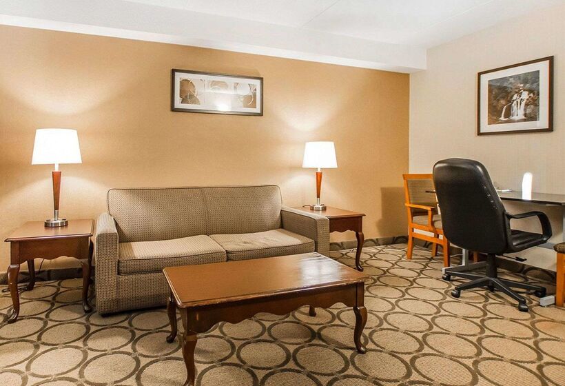 ホテル Comfort Inn