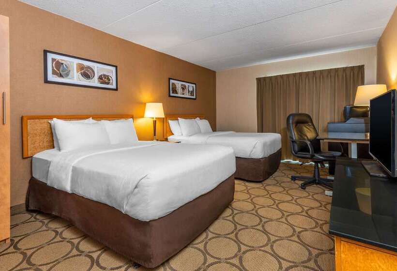 ホテル Comfort Inn