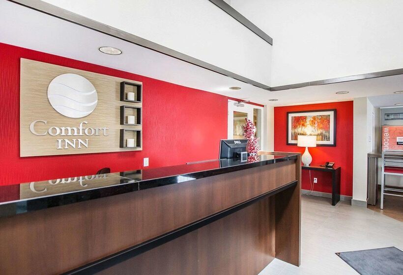 ホテル Comfort Inn
