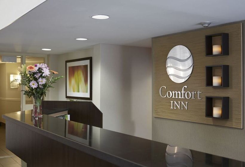 בית מלון כפרי Comfort Inn Val D Or