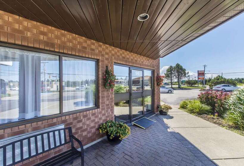 فندق Comfort Inn