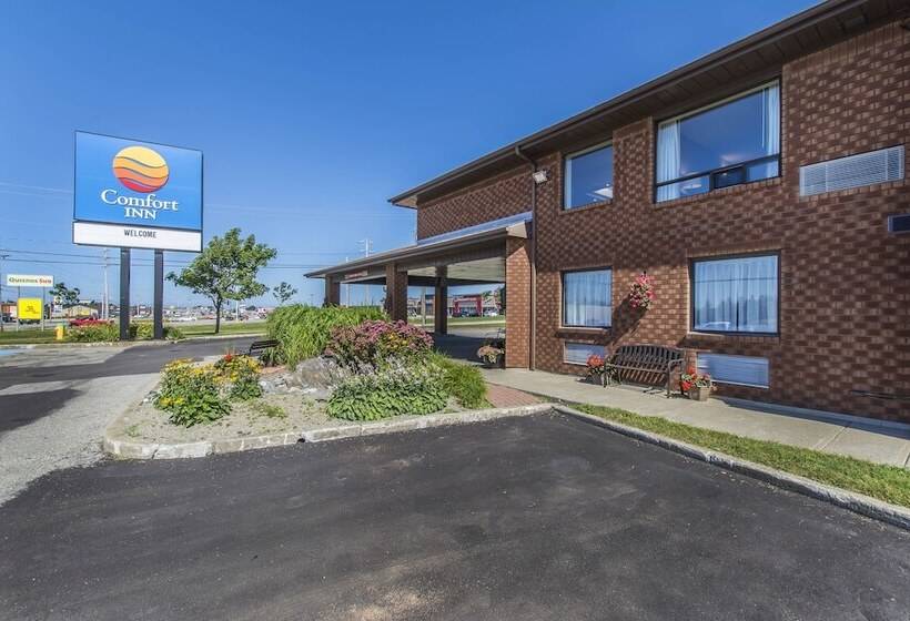 فندق Comfort Inn