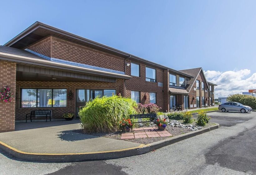 فندق Comfort Inn