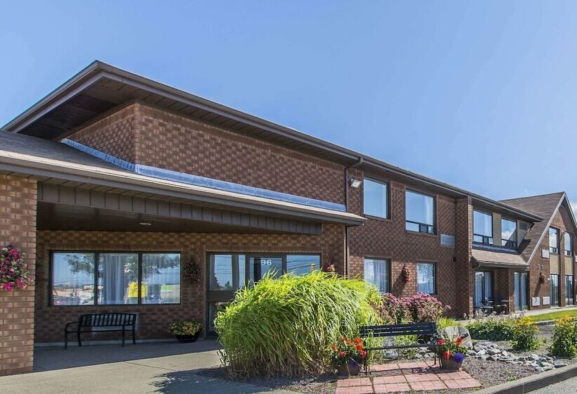 فندق Comfort Inn