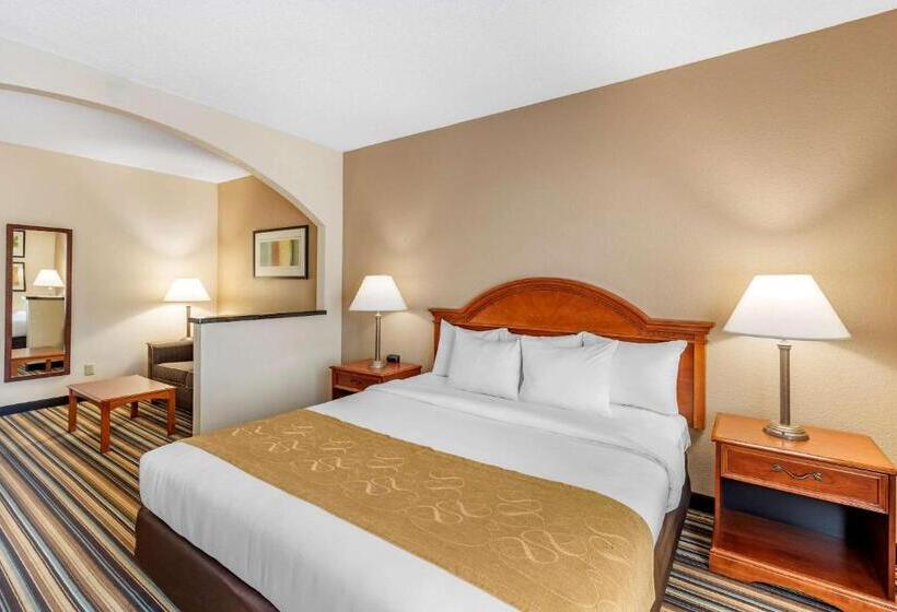 בית מלון כפרי Comfort Suites Chesapeake  Norfolk