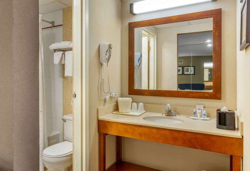 בית מלון כפרי Comfort Suites Oakbrook Terrace Near Oakbrook Center