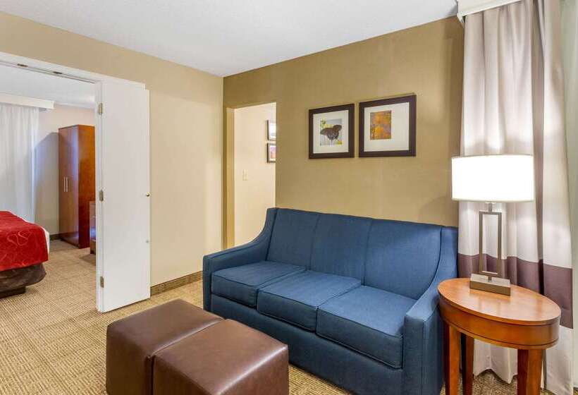 בית מלון כפרי Comfort Suites Oakbrook Terrace Near Oakbrook Center