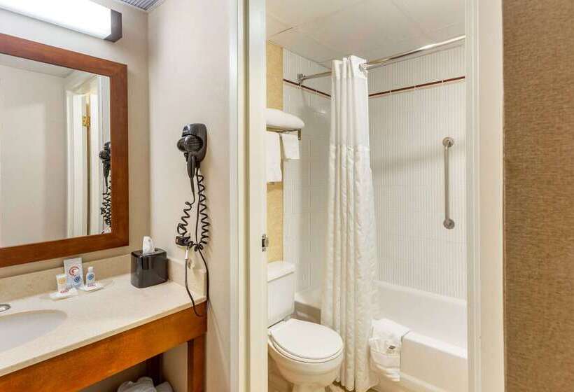 בית מלון כפרי Comfort Suites Oakbrook Terrace Near Oakbrook Center