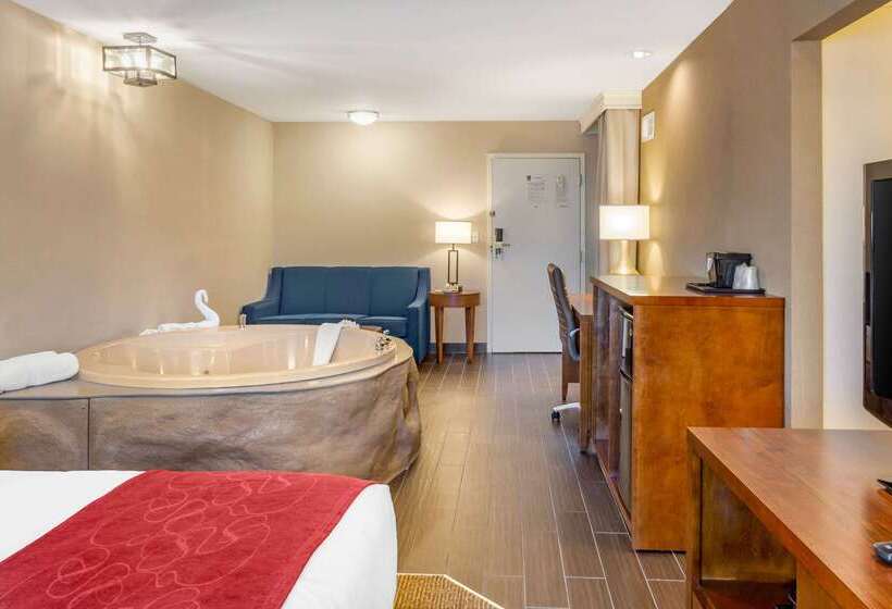 בית מלון כפרי Comfort Suites Oakbrook Terrace Near Oakbrook Center