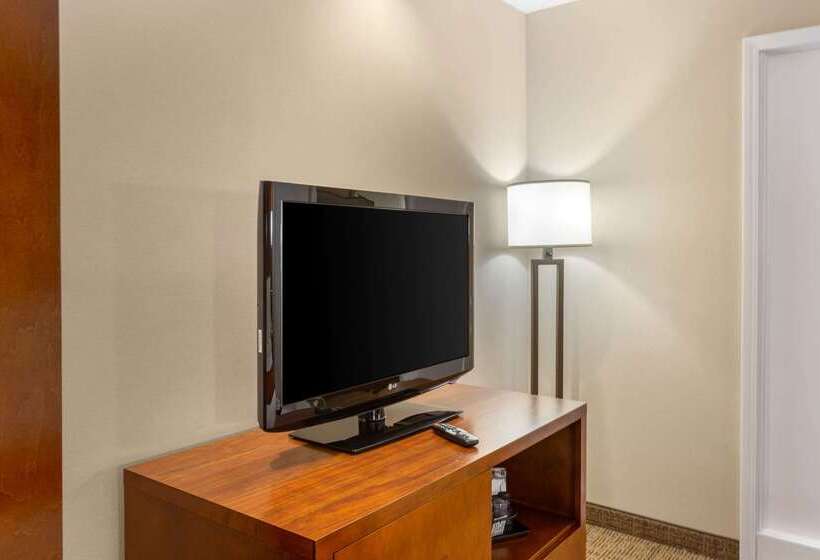 בית מלון כפרי Comfort Suites Oakbrook Terrace Near Oakbrook Center