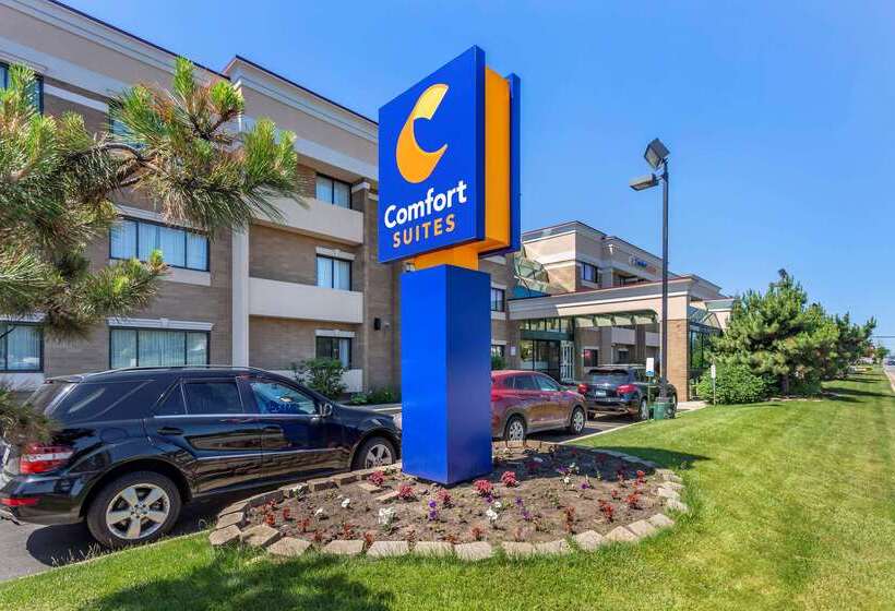 בית מלון כפרי Comfort Suites Oakbrook Terrace Near Oakbrook Center