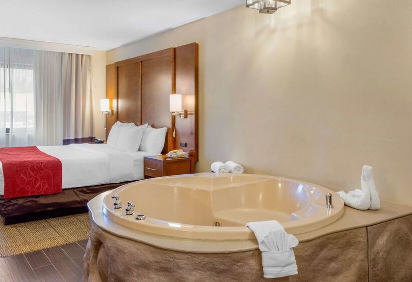 בית מלון כפרי Comfort Suites Oakbrook Terrace Near Oakbrook Center