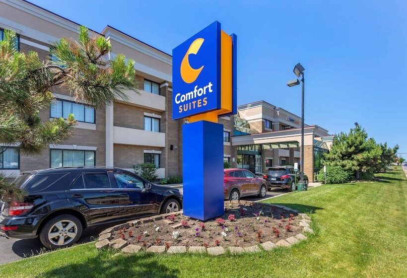 בית מלון כפרי Comfort Suites Oakbrook Terrace Near Oakbrook Center