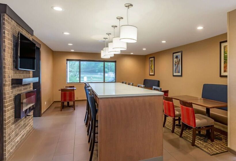 בית מלון כפרי Comfort Suites Oakbrook Terrace Near Oakbrook Center