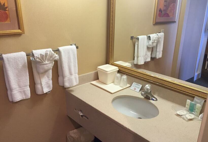 בית מלון כפרי Comfort Suites Oakbrook Terrace Near Oakbrook Center