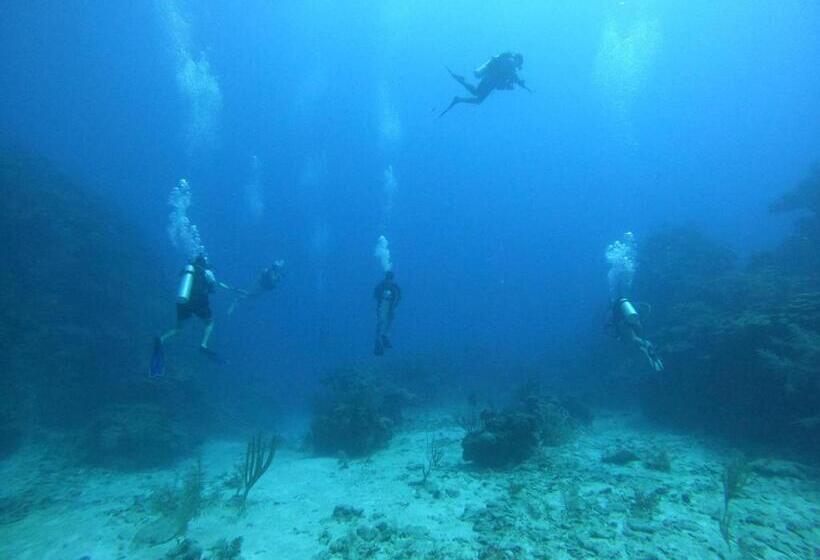 Отель Corona Del Mar