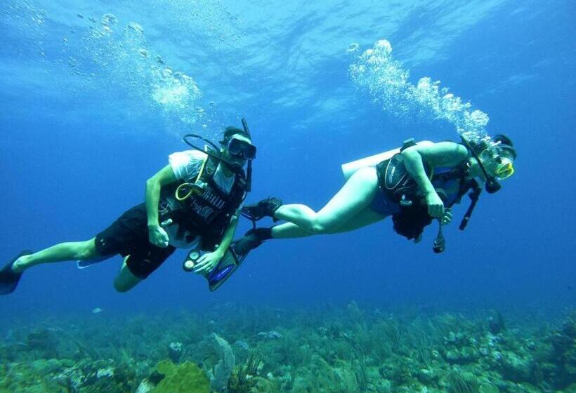 Отель Corona Del Mar