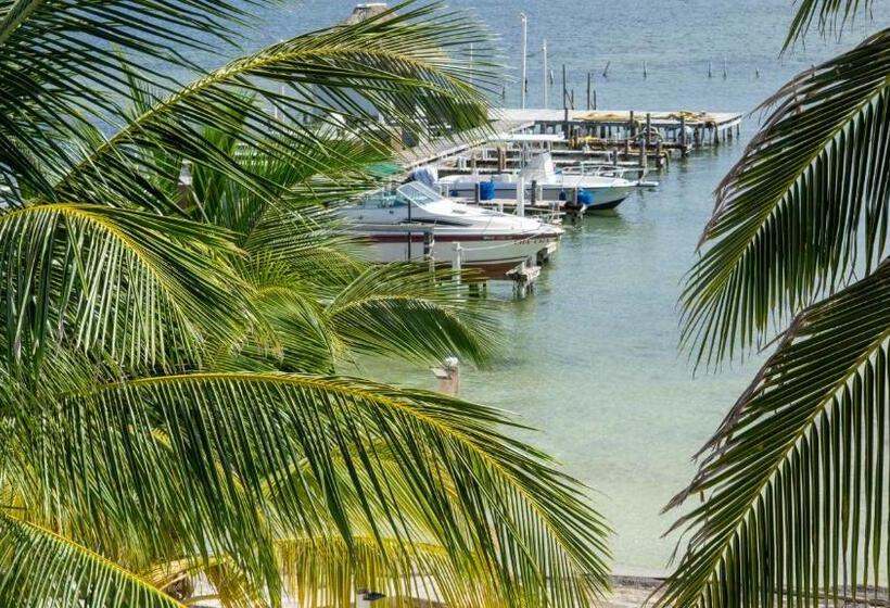 Отель Corona Del Mar