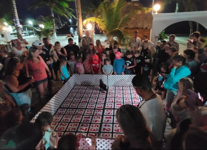 Отель Corona Del Mar