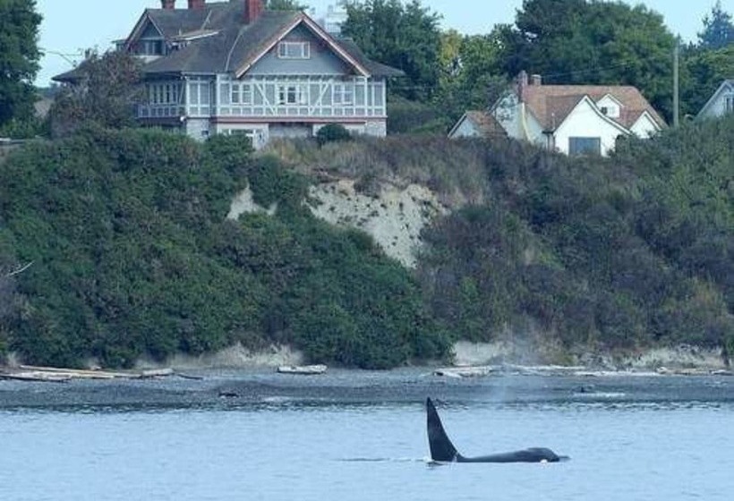 호텔 Dashwood Manor Seaside Bed & Breakfast